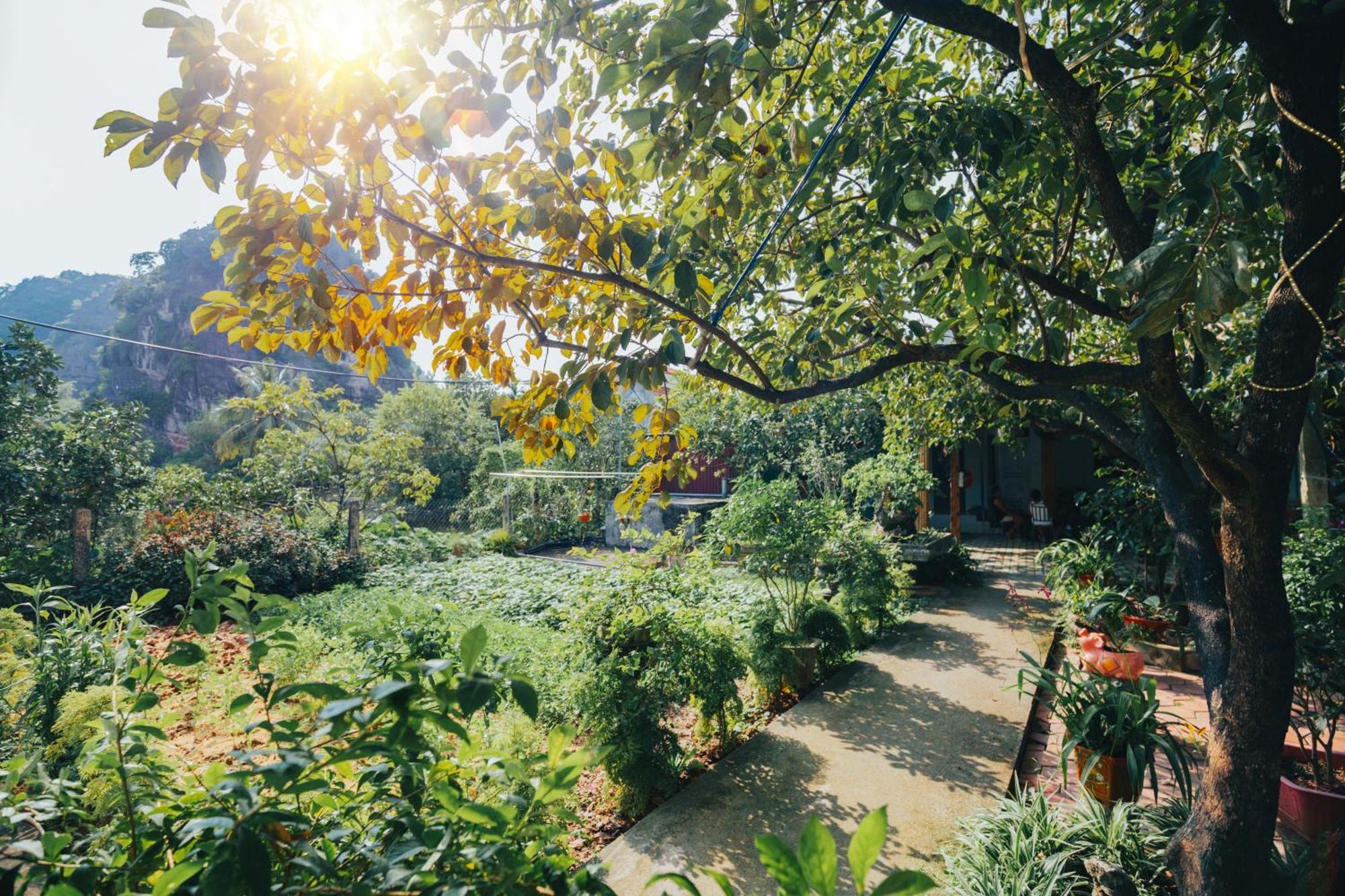 Blue Garden Homestay Ninh Bình Kültér fotó