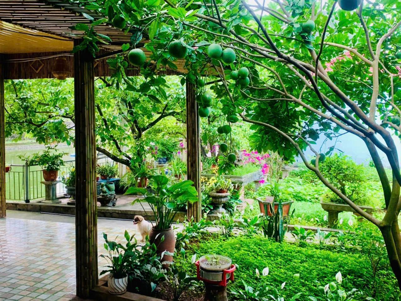 Blue Garden Homestay Ninh Bình Kültér fotó