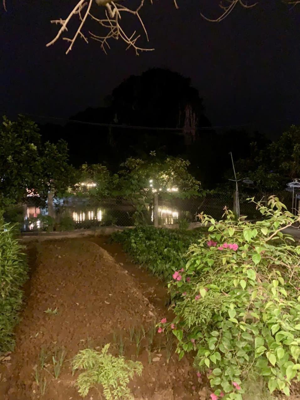 Blue Garden Homestay Ninh Bình Kültér fotó