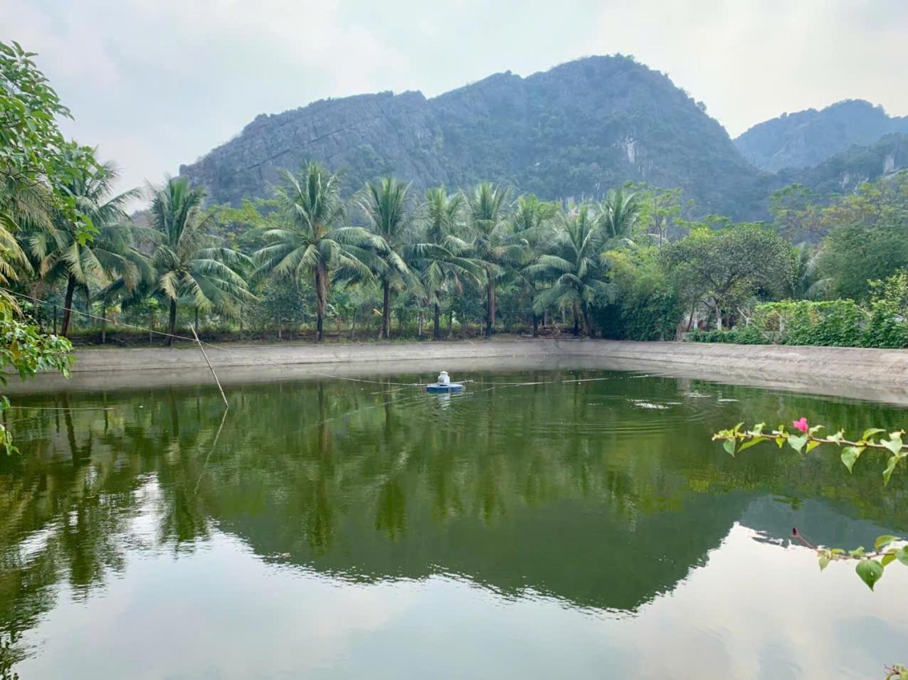 Blue Garden Homestay Ninh Bình Kültér fotó