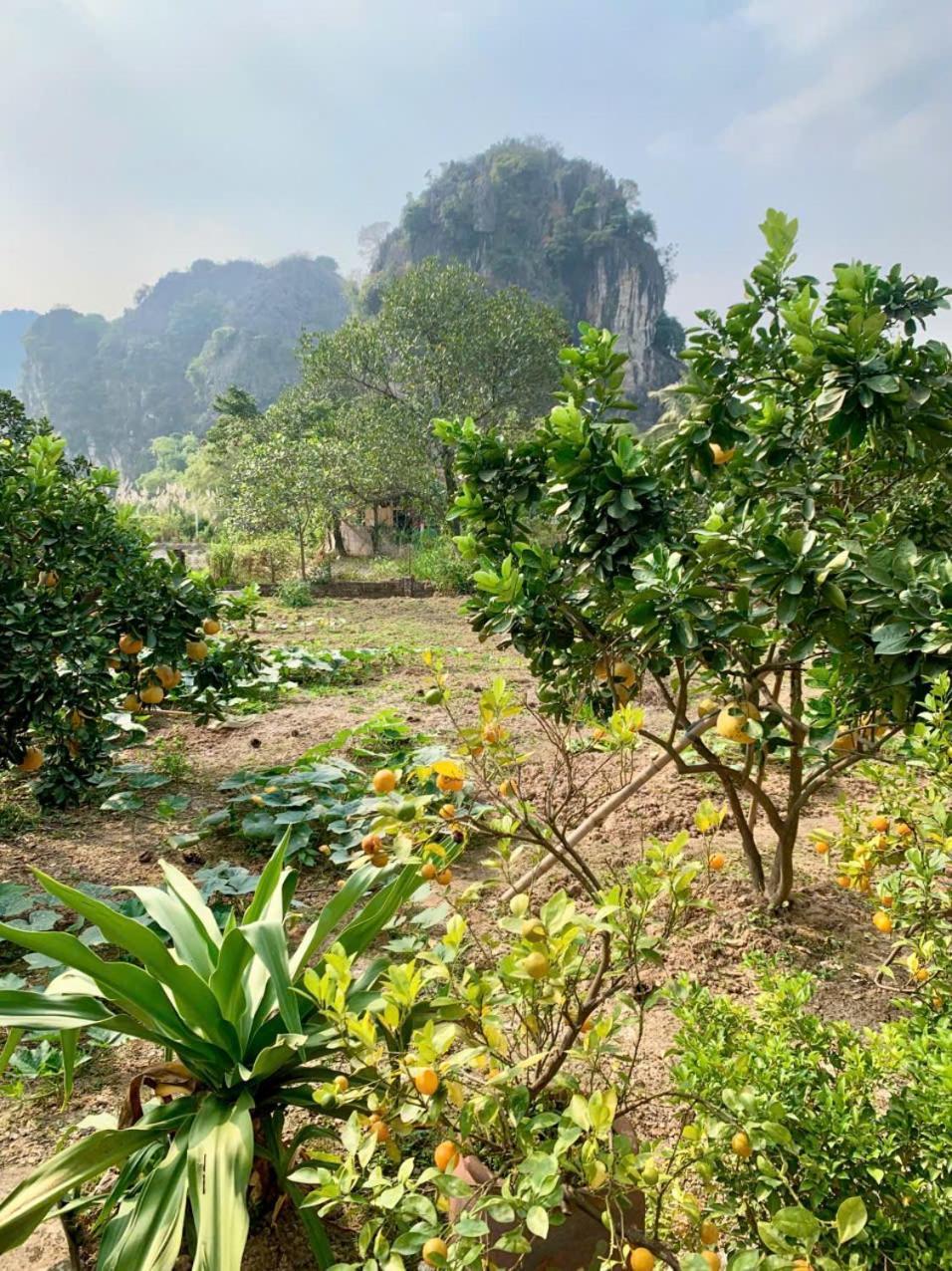 Blue Garden Homestay Ninh Bình Kültér fotó