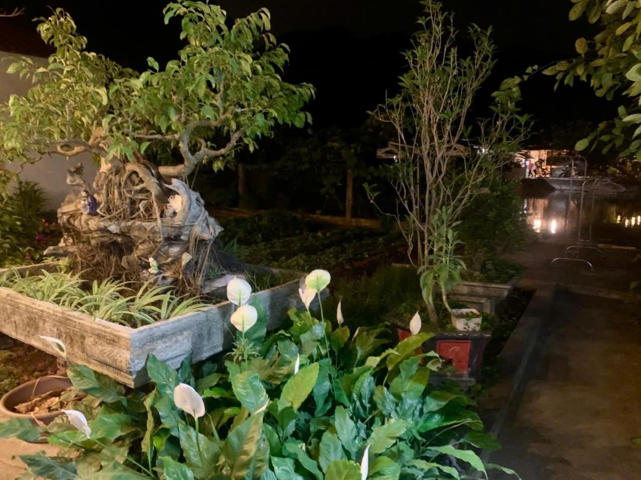 Blue Garden Homestay Ninh Bình Kültér fotó