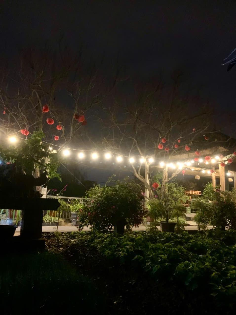 Blue Garden Homestay Ninh Bình Kültér fotó