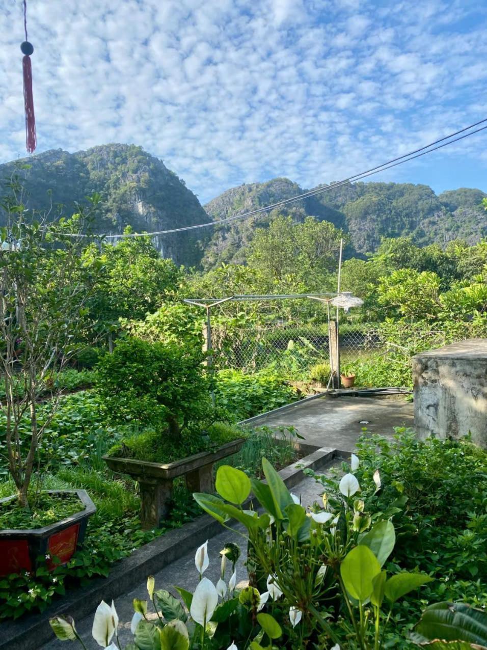 Blue Garden Homestay Ninh Bình Kültér fotó