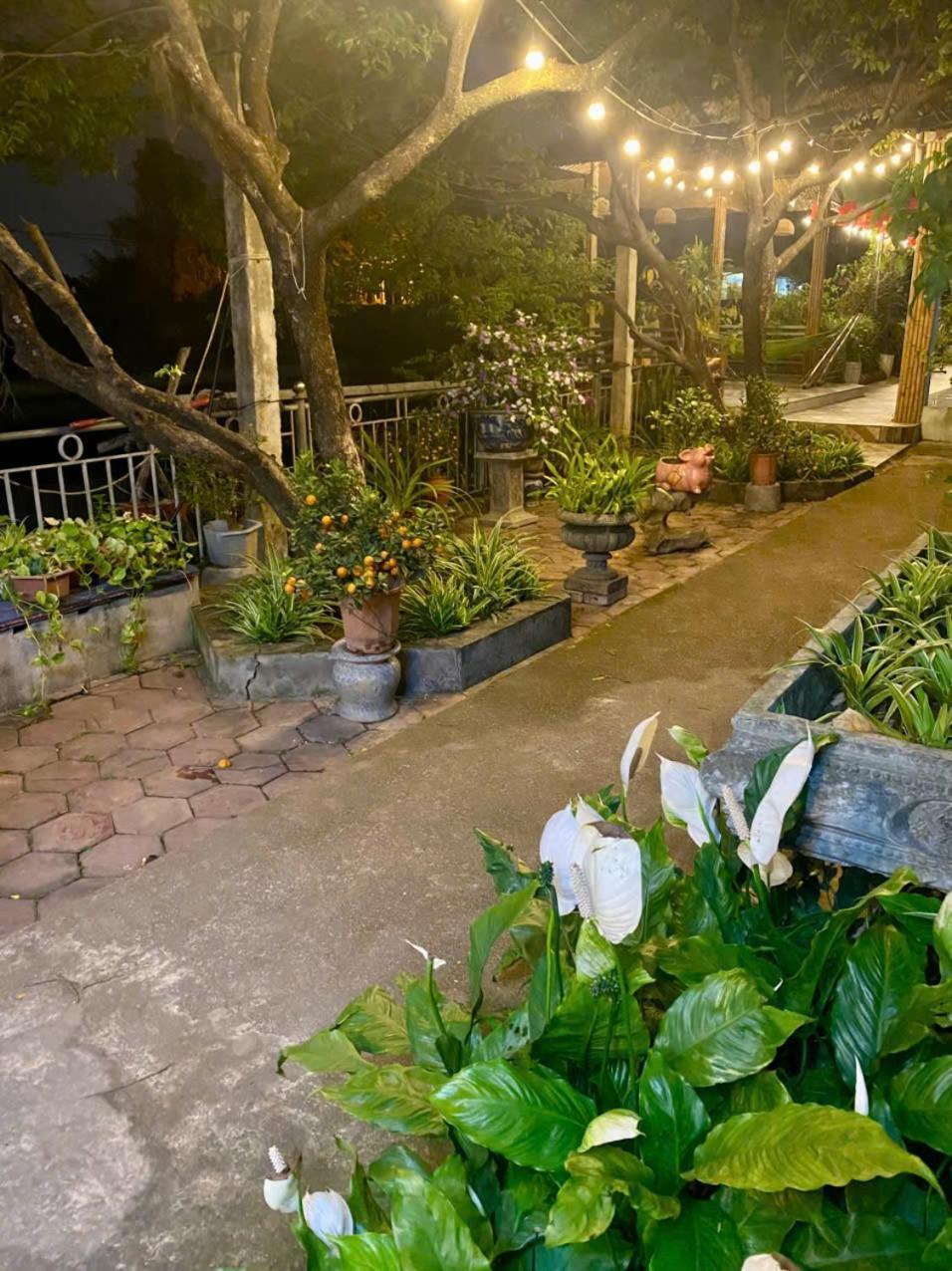 Blue Garden Homestay Ninh Bình Kültér fotó