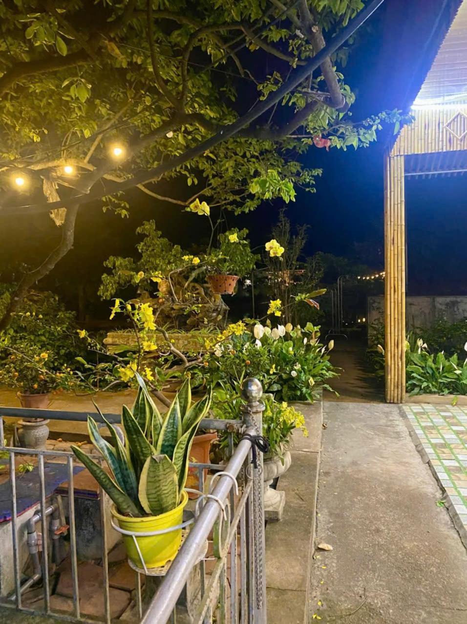 Blue Garden Homestay Ninh Bình Kültér fotó
