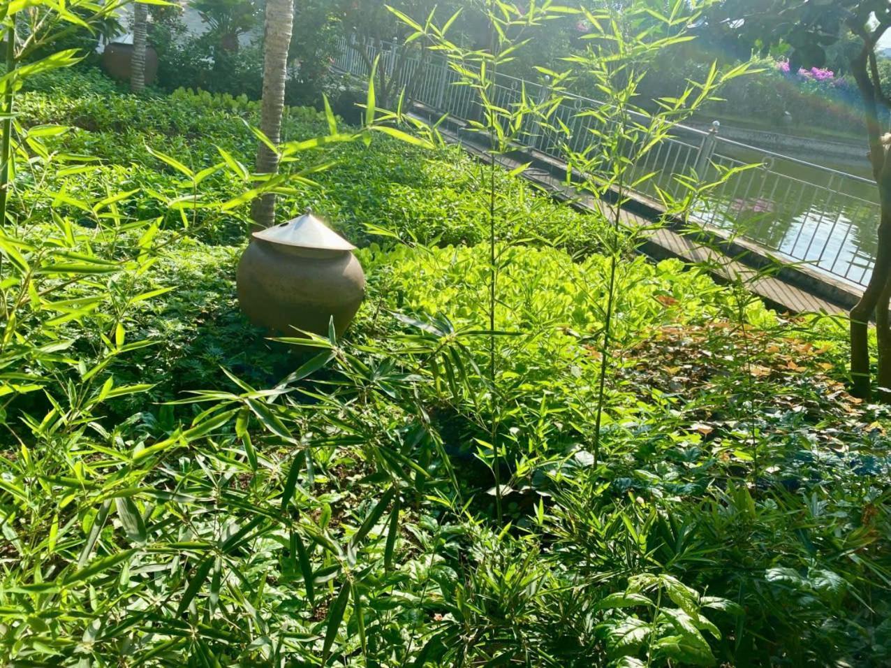 Blue Garden Homestay Ninh Bình Kültér fotó